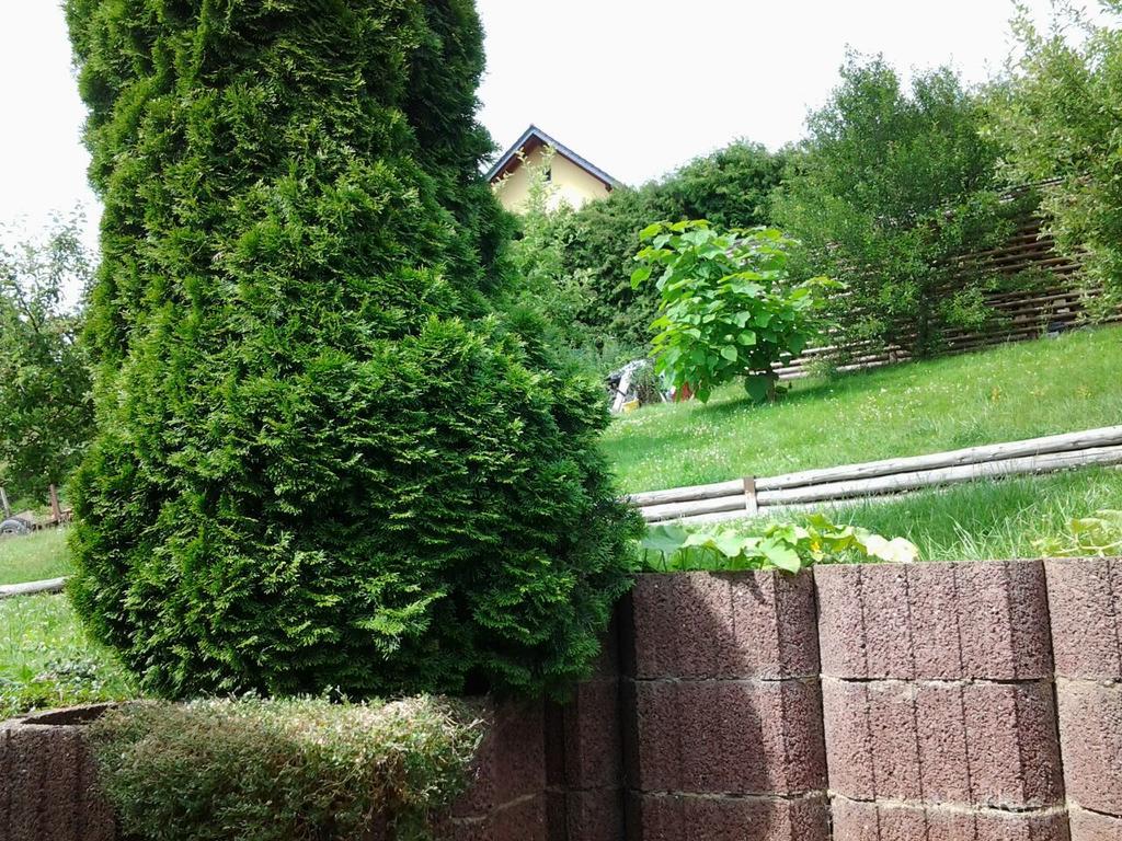 Ferienhaus Waldblick Sangerhausen Luaran gambar