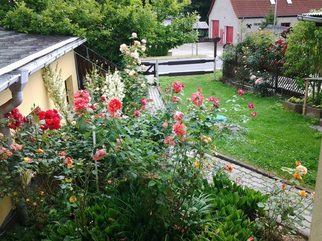 Ferienhaus Waldblick Sangerhausen Luaran gambar